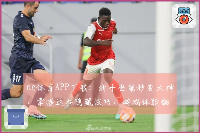 ng体育APP下载：新手也能秒变大神，掌握这些隐藏技巧，游戏体验翻倍